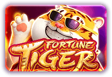 Fortune Tiger